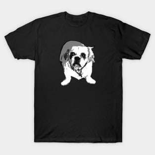 Charley-O T-Shirt